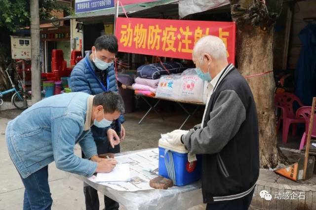 进行|我镇即将铺开秋季重大动物疫病防控工作