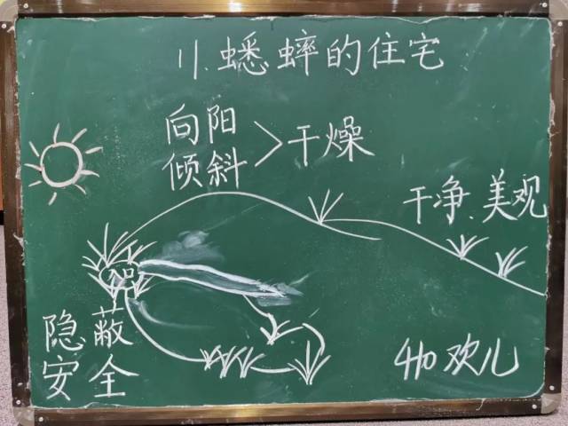 板书|【润教育 心飞扬】板书大赛聚英才，灯三教师试比高 ——灯湖三小语文科组开展板书设计大赛