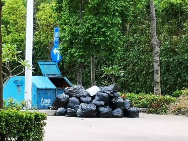 垃圾|强化示范引领,江门多部门联合开展公共机构垃圾分类专项督查