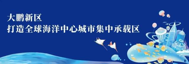 沙滩|西涌沙滩五星红旗飘扬，沙滩露营活动你来了吗？