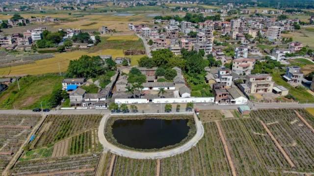 发展|发展特色种养，打造绿美新村！惠州博罗绘就美丽乡村画卷