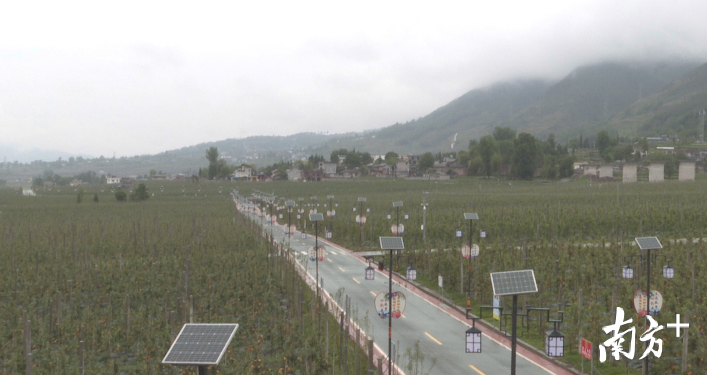 苹果园内分布着不少监控摄像头、传感器和太阳能电池板。越西县融媒体中心供图