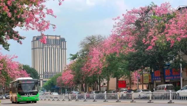 广州|大湾区科创大赛特约·南方+早班车 | 全国第一！广东提前超额完成今年5G网络建设任务！