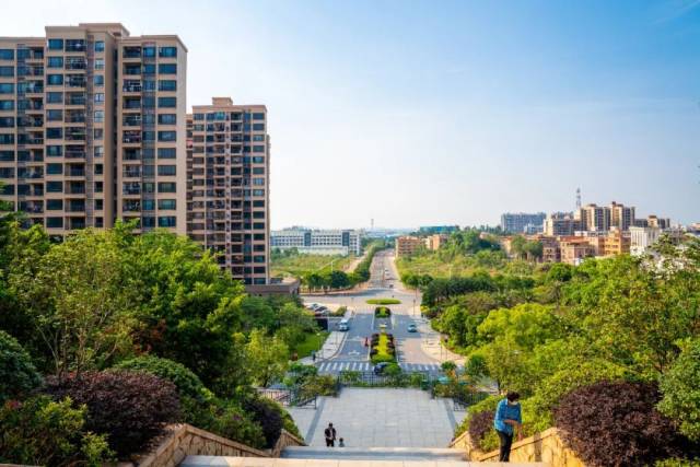 丹灶|有为丹灶谱写创新篇章,提升市民小康幸福感