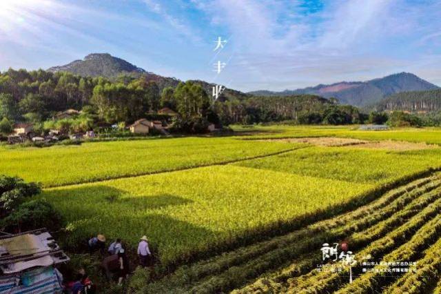 朗锦|这里，有你关于乡村的憧憬