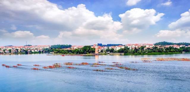 丹灶|有为丹灶谱写创新篇章，提升市民小康幸福感