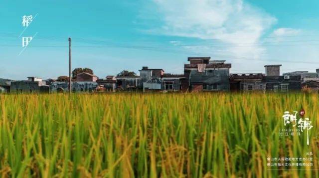 朗锦|这里，有你关于乡村的憧憬