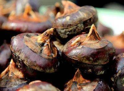 农产品|实力上榜国家级名录！韶关再增7个全国名特优新农产品