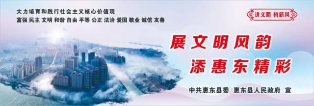 篮球|惠东“健强杯”篮球公开赛收官，冠亚军出炉~