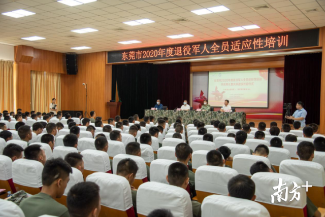 培训|东莞为近600名退役军人开展适应性培训