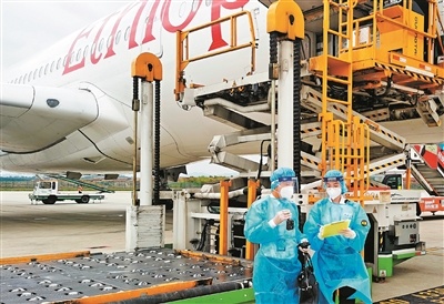 广州海关所属广州白云机场海关值机处关员对进境货机进行登临检疫。