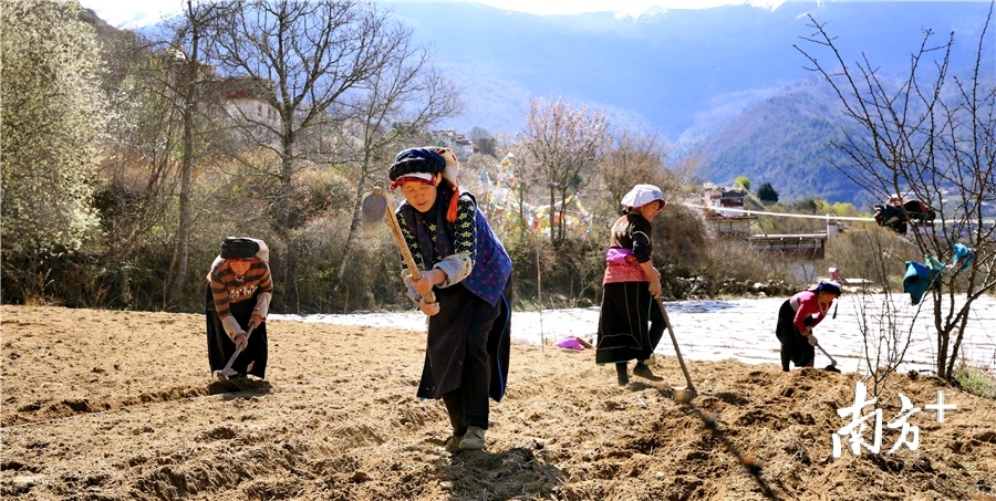 妖枯村村民在劳作。
