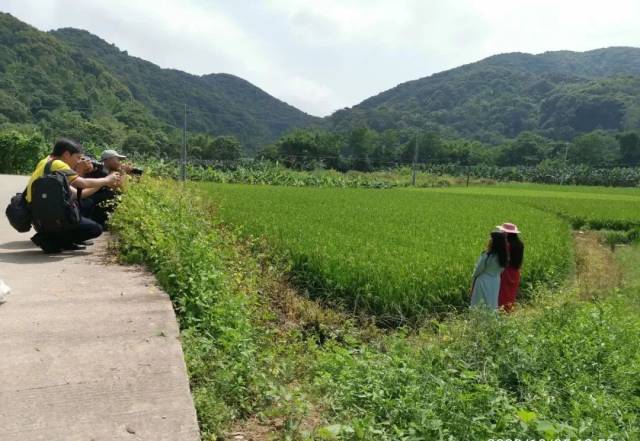 诗词|“情牵两广?唱响岭南”—— 东莞诗词文化交流团赴广西钦州开展联谊活动