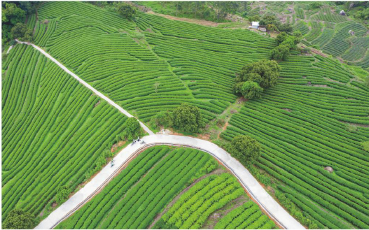 南方号|广东的经济最强区，为何把最好的空间给了体育？| 我要上首页 · 南方号今选