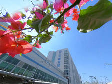 时政现场说丨听总书记谈创新发展 共谋未来