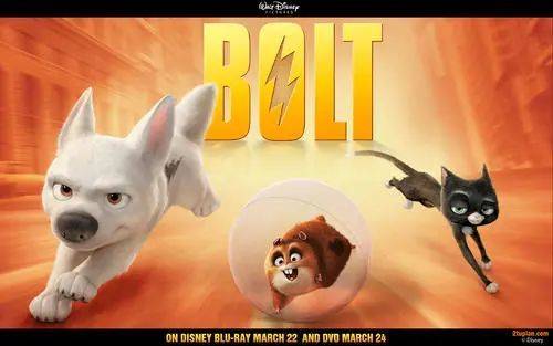 活动|活动预告 | 周末凤凤剧场