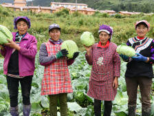 视频｜毛永天：深化佛山凉山协作，坚决助力凉山州打赢脱贫攻坚战