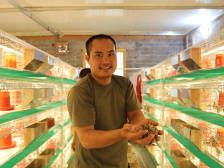 鼎湖＆昭平：竹鼠场“腾笼换鸟”，鹧鸪飞出一片天