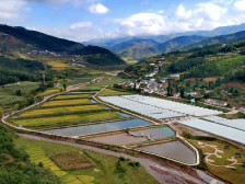 普格共生：稻田里的山海融合试验｜山海协作 佛山战贫