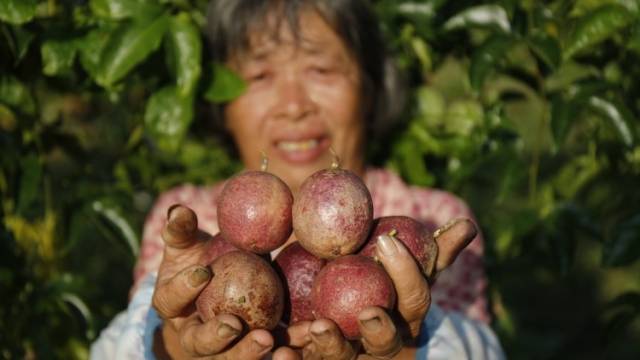 “消费扶贫”拍了拍你！中山市2020“全国扶贫日”活动启动