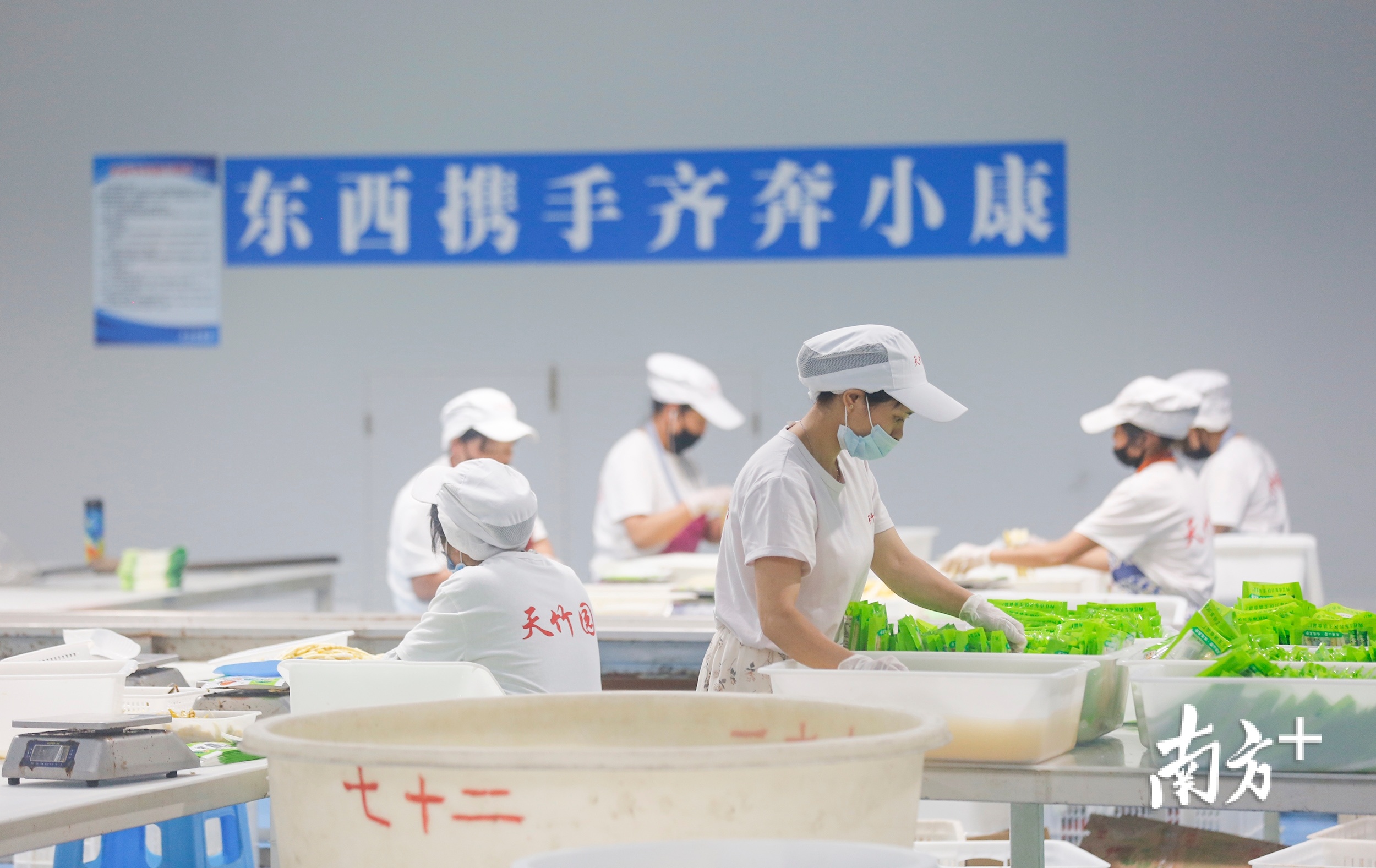 昭通市盐津县天竹园食品有限公司内,工人在包装竹笋产品。叶志文 摄 昭通市盐津县天竹园食品有限公司内,工人在包装竹笋产品。叶志文 摄