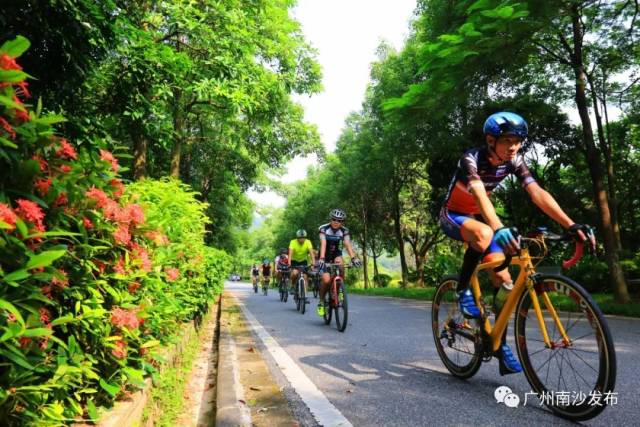 南沙|还不知道南沙怎么玩？这10条路线收好！