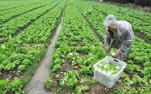 南沙|还不知道南沙怎么玩？这10条路线收好！