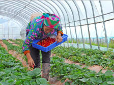 产业大循环：山与海的交响