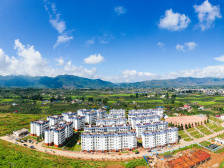 安居大作战：生活与梦想的新起点