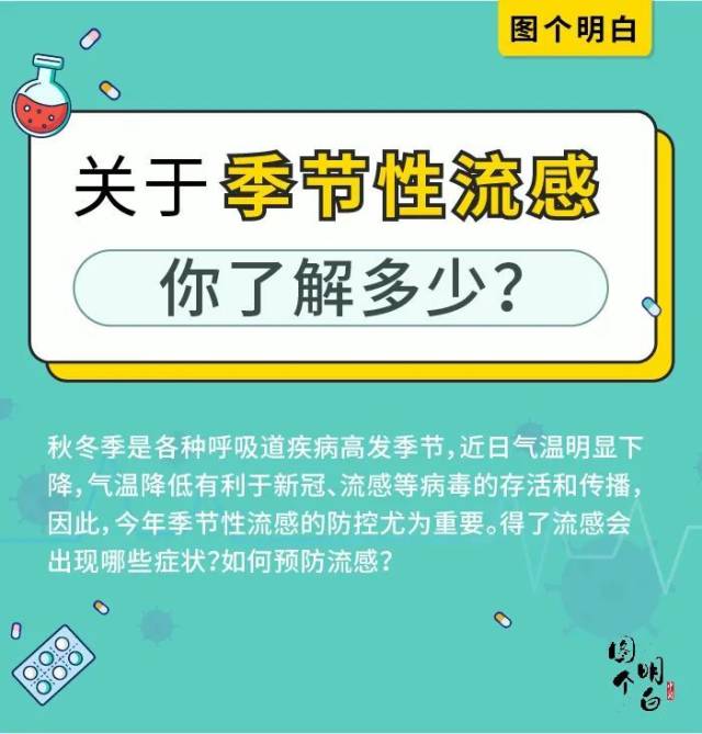 新闻网|又到流感高发季，了解这些知识让你远离它