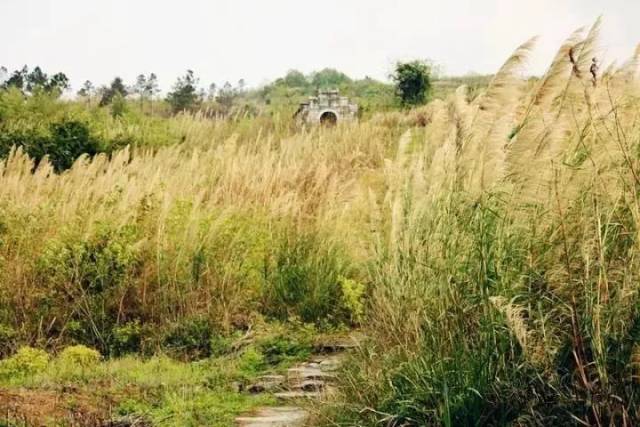 徒步|环岛线路、梯田线路、千年古道线路！清远这些超赞的徒步路线，约起！