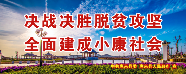 农民|“新农民”有新作为！惠来90后大学生毕业回乡开创新天地！