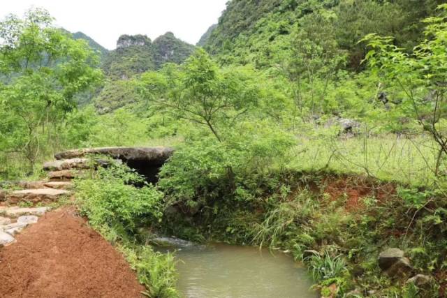 徒步|环岛线路、梯田线路、千年古道线路！清远这些超赞的徒步路线，约起！