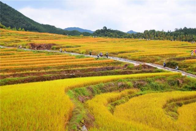 徒步|环岛线路、梯田线路、千年古道线路！清远这些超赞的徒步路线，约起！