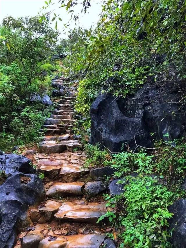 徒步|环岛线路、梯田线路、千年古道线路！清远这些超赞的徒步路线，约起！