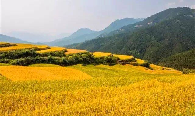 徒步|环岛线路、梯田线路、千年古道线路！清远这些超赞的徒步路线，约起！