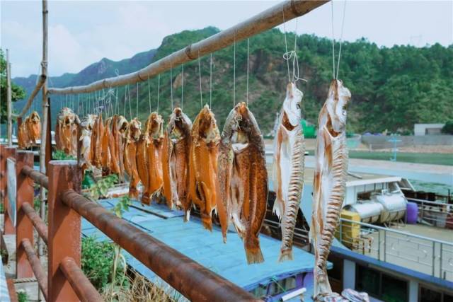 徒步|环岛线路、梯田线路、千年古道线路！清远这些超赞的徒步路线，约起！