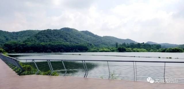 道路|乡村振兴在“路”上 ② | 旧飞鹅村:样板路上步步皆风景