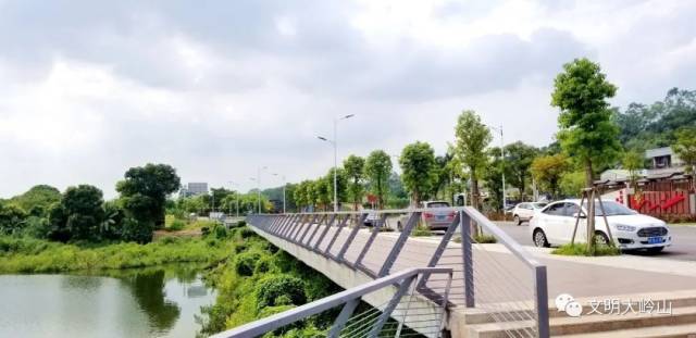 道路|乡村振兴在“路”上 ② | 旧飞鹅村:样板路上步步皆风景