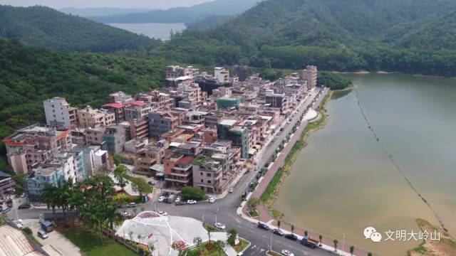 道路|乡村振兴在“路”上 ② | 旧飞鹅村:样板路上步步皆风景