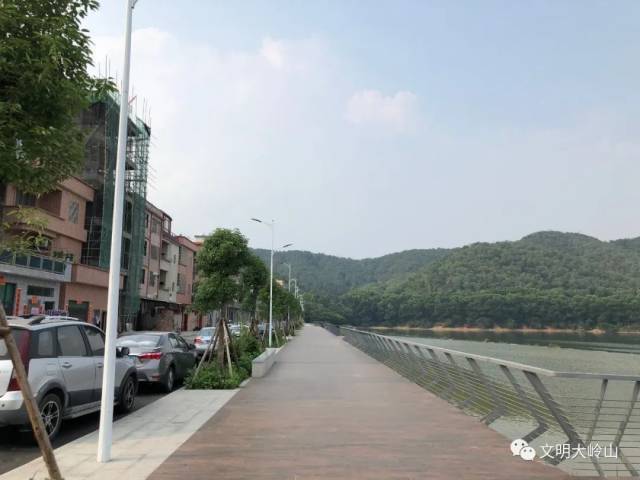 道路|乡村振兴在“路”上 ② | 旧飞鹅村:样板路上步步皆风景