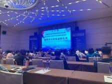 耳朵也能看出疾病？中外专家齐聚佛山论道耳穴诊疗