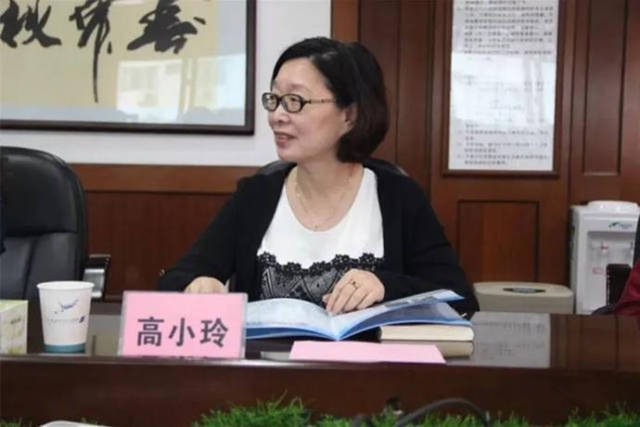 高小|广州民航职业技术学院原党委委员、副院长高小玲被开除党籍、开除公职