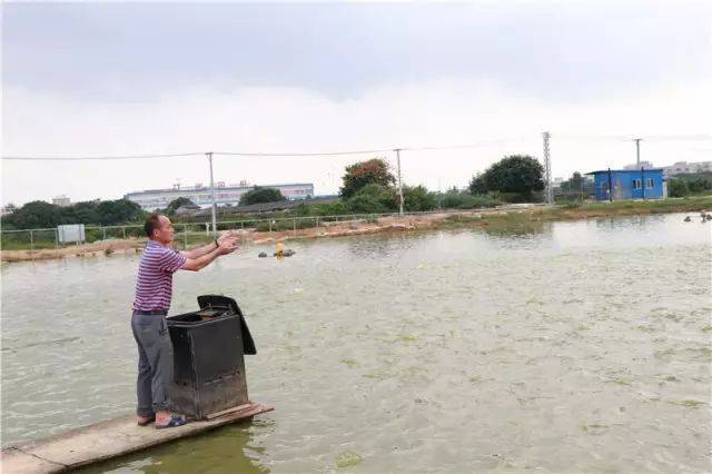中村|南海有条红色古村，到处都是明清建筑！