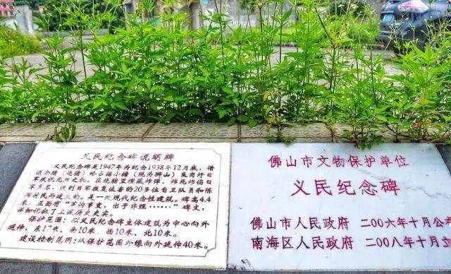 中村|南海有条红色古村，到处都是明清建筑！