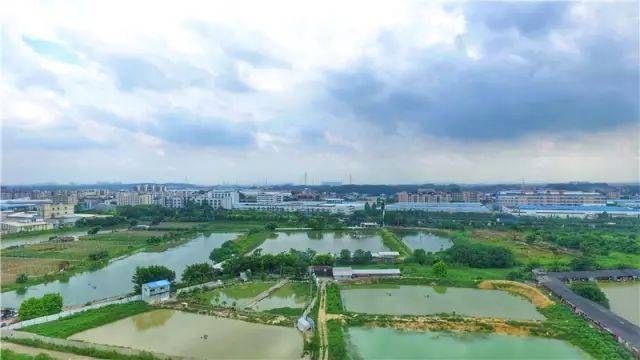 中村|南海有条红色古村，到处都是明清建筑！