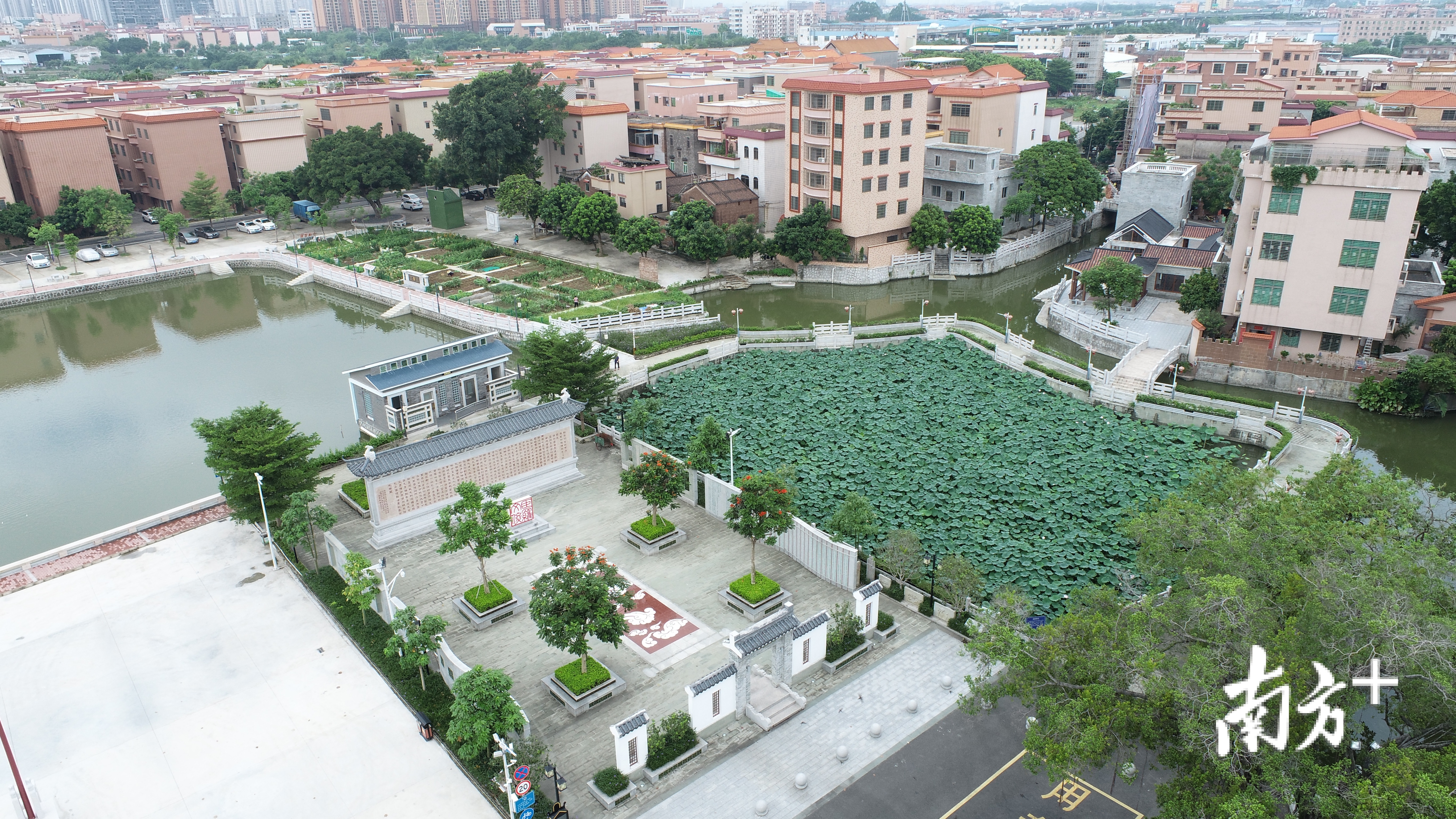 南庄村罗园片区目前已建成引人入胜的荷香园，书香四溢的耕读园，厚德载物的崇文园，文脉绵长的探花园以及精雕细琢的探花文化中心。罗湛贤 摄