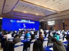 高峰对话：今年是燃料电池元年，2025年氢能动力系统成本接近燃油