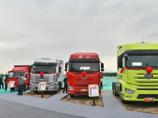 朱伟：年内力争引进总投资千亿元项目｜项目为王 共筑湾区