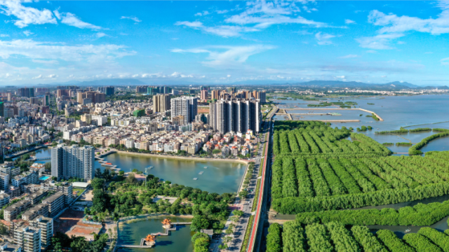 流金岁月 滩涂变公园 | 《南方日报·电白视窗》视觉